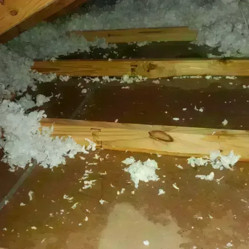 Attic Water Damage in Napoleon, ND