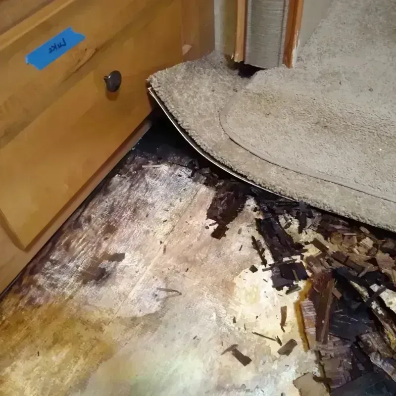 Best Wood Floor Water Damage Service in Napoleon, ND